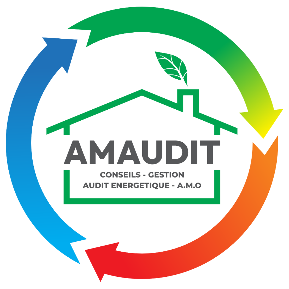 Amaudit