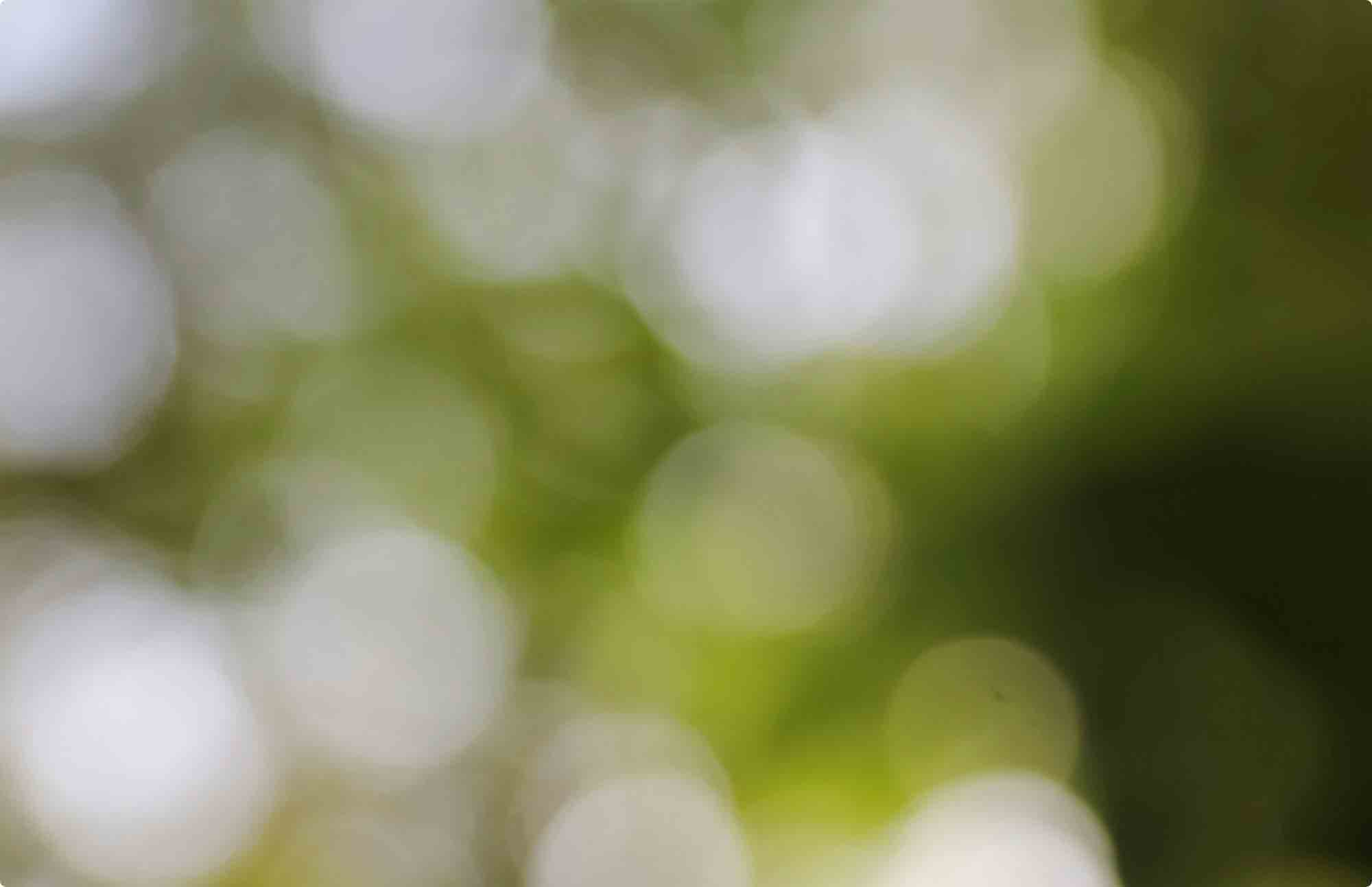 Arrière-plan témoignage